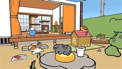 neko atsume steam|neko atsume pc.